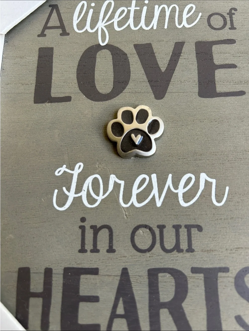 Malden Gray Pet Memory Picture Frame with Paw Accent